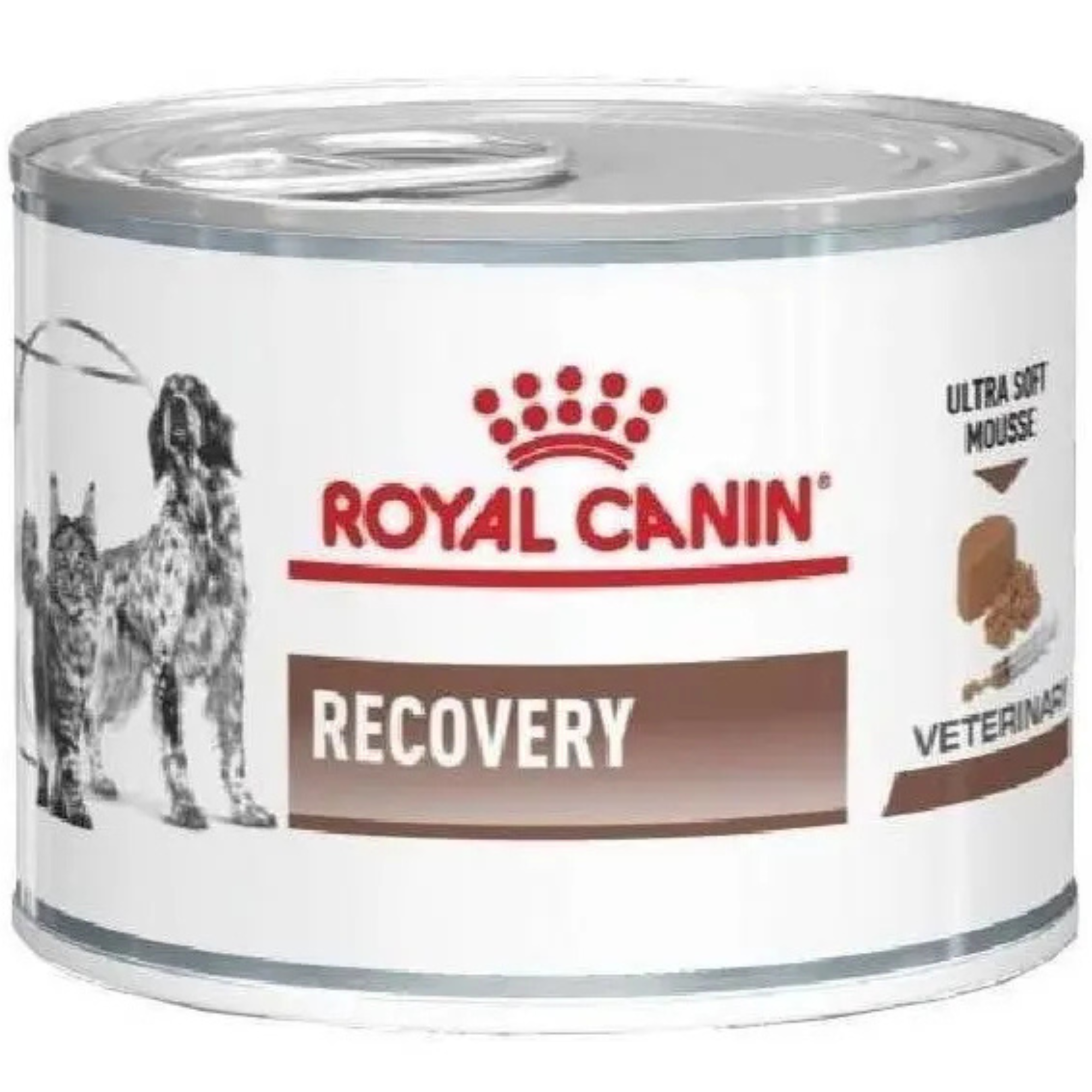 Royal Canin lata Recovery Gato