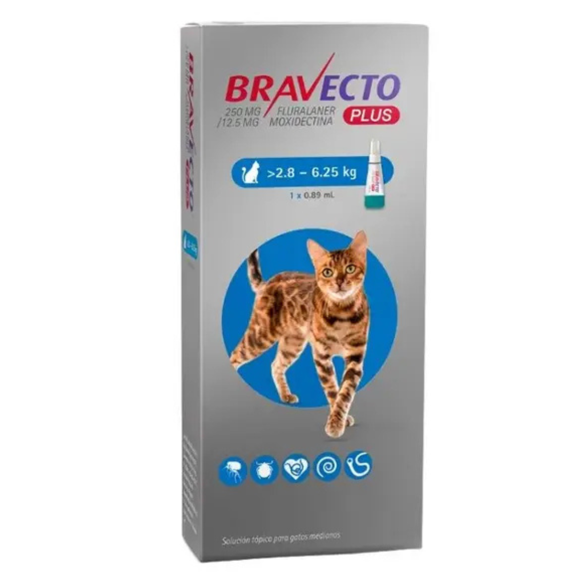 BRAVECITO GATO  2.8 - 6.25 KG