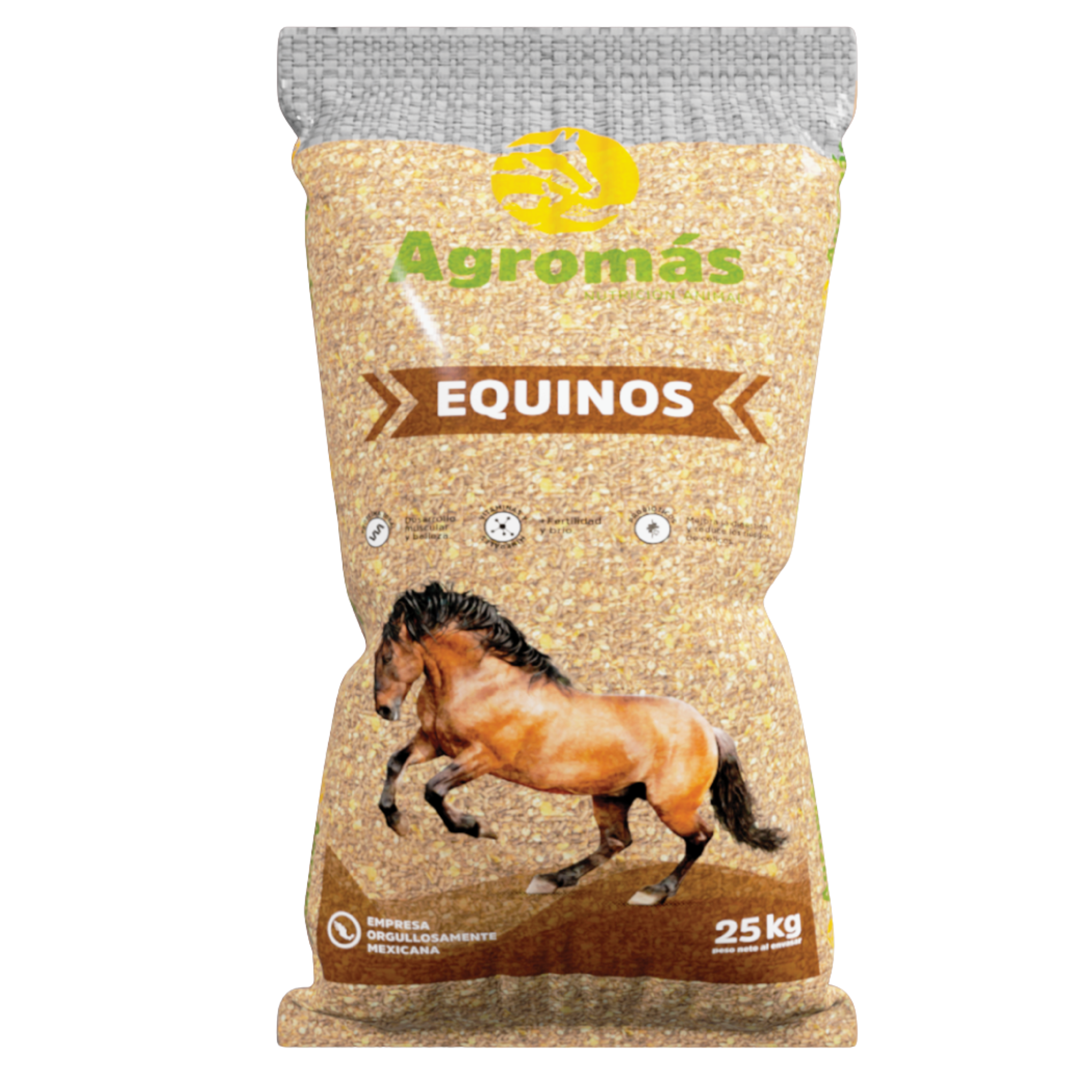 Equino 12