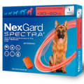 NEXGARD 1 MES 30 - 60 KG